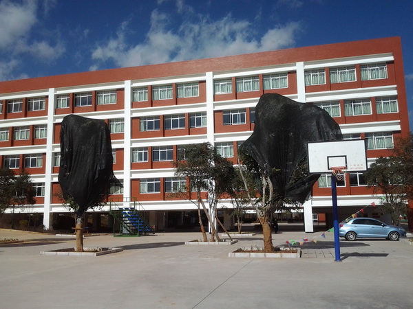 云南盛翔----------新建嵩華學校工程