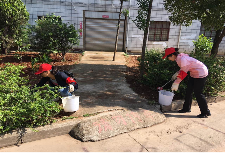 我參與，我光榮（云南盛翔安廣網絡項目監(jiān)理部參與安寧“創(chuàng)文”志愿者活動側記）