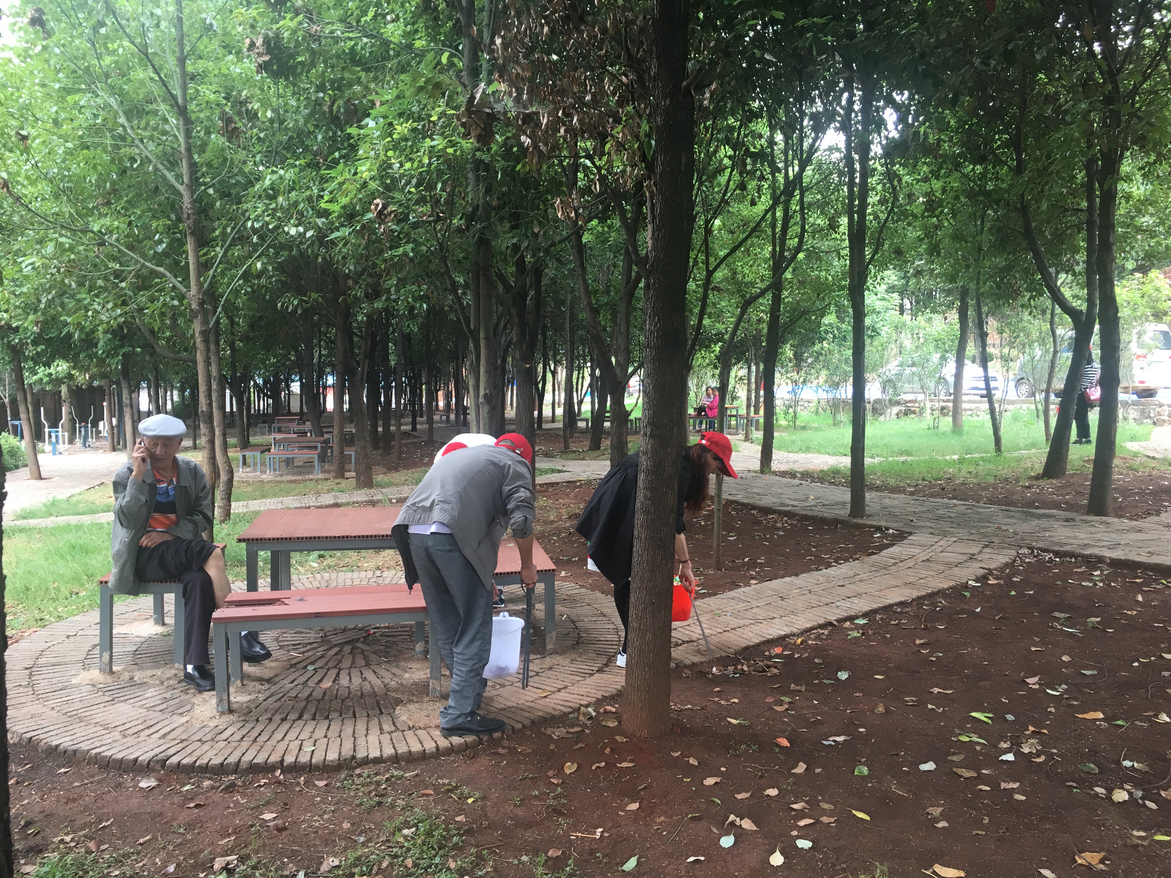 公司黨員模范帶頭助力創(chuàng)文