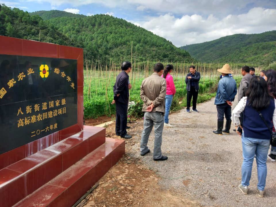 2016年國(guó)家農(nóng)業(yè)綜合開(kāi)發(fā)土地治理安寧市八街街道辦事處、金方街道辦事處高標(biāo)準(zhǔn)農(nóng)田建設(shè)項(xiàng)目工程項(xiàng)目竣工驗(yàn)收
