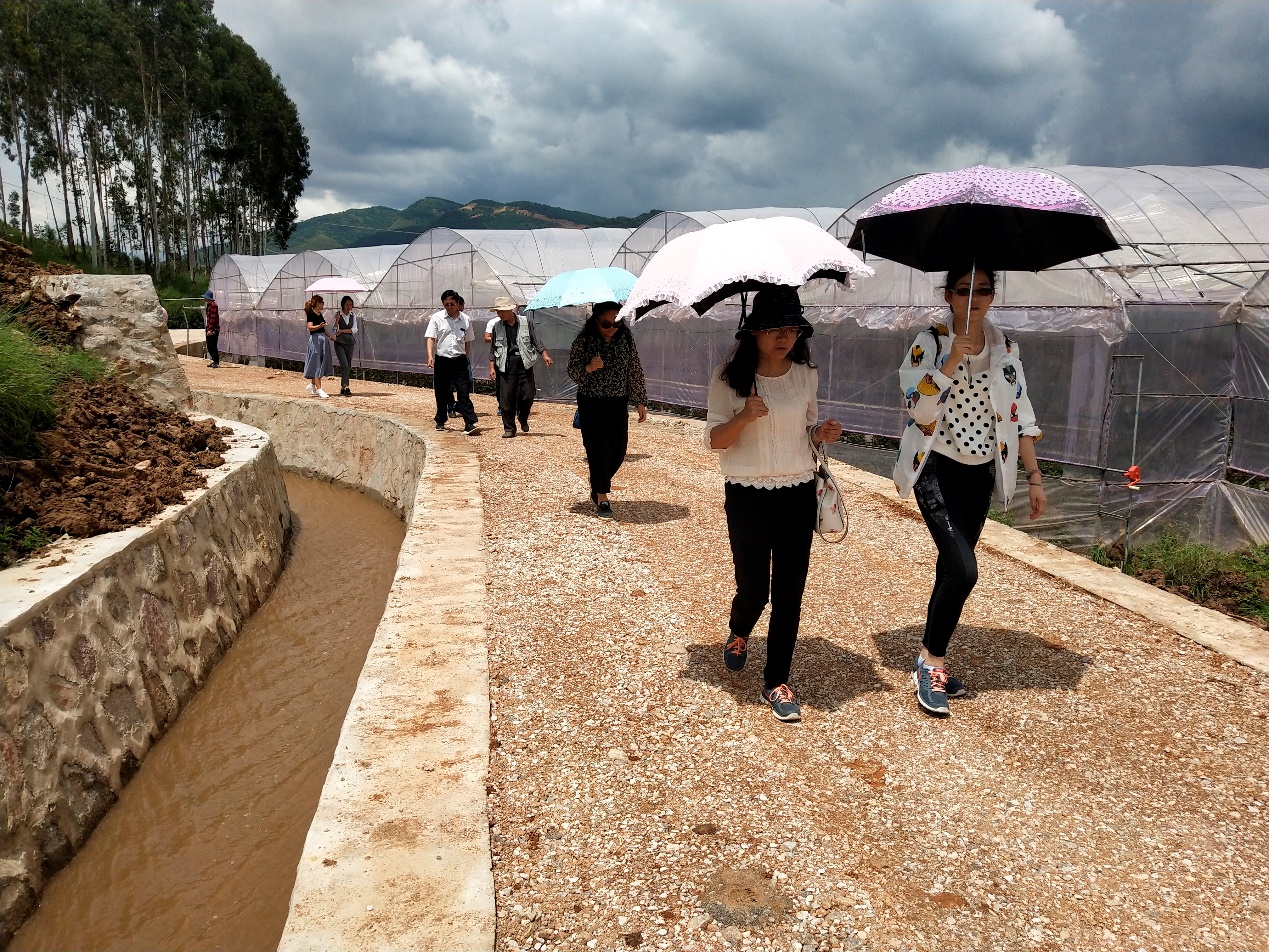 2017年云南省昆明安寧市八街枧槽營片區(qū)高標(biāo)準(zhǔn)農(nóng)田建設(shè)工程項(xiàng)目通過安寧市初步驗(yàn)收