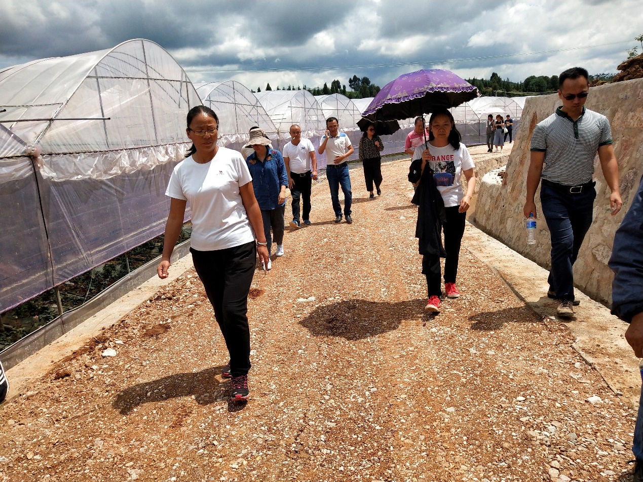 2017年云南省昆明安寧市八街枧槽營片區(qū)高標(biāo)準(zhǔn)農(nóng)田建設(shè)工程項(xiàng)目通過安寧市初步驗(yàn)收