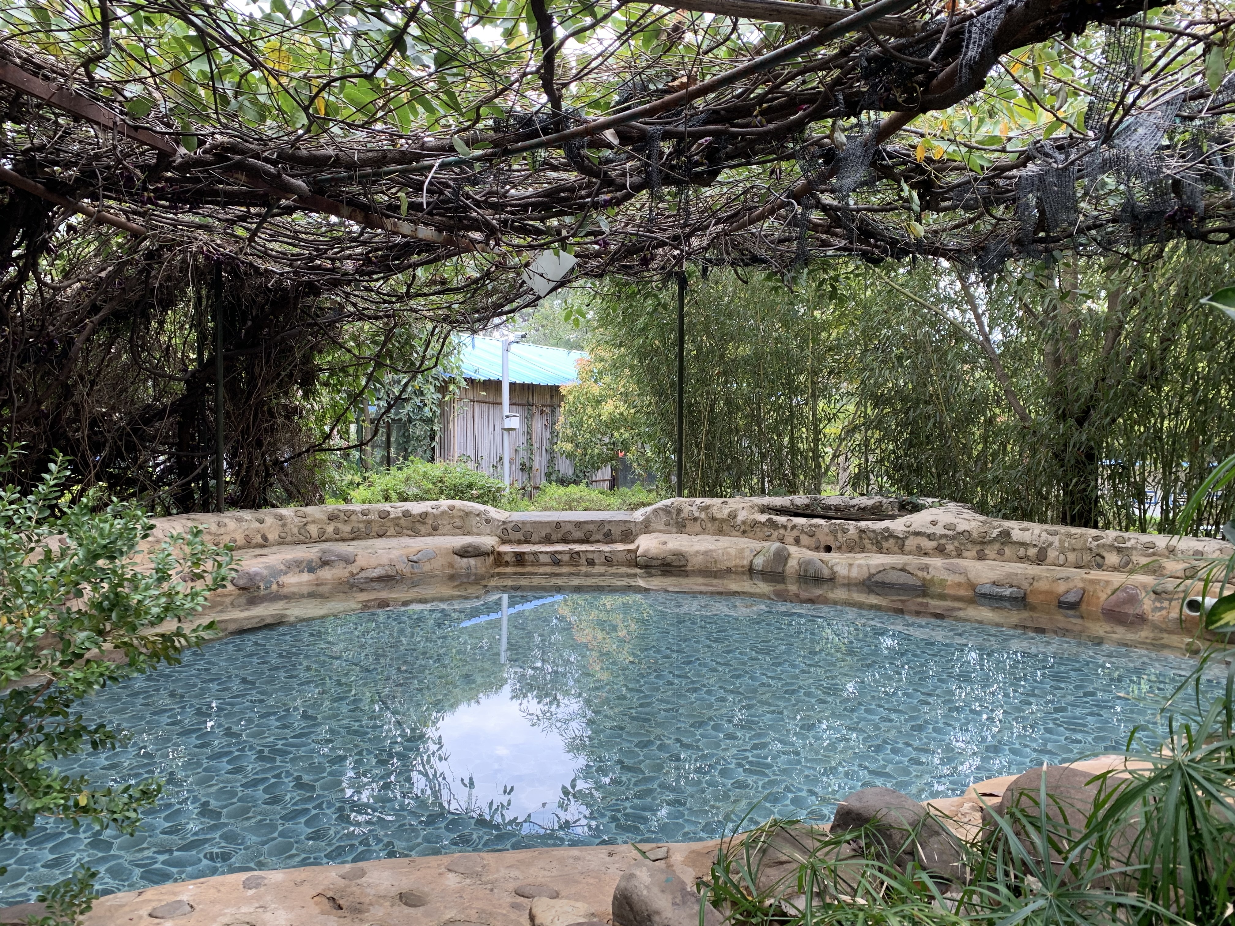 公司慶?！叭恕眹H婦女節(jié)