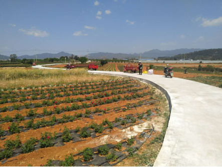 安寧市八街街道辦鳳儀村委會龍鳳村農(nóng)田機耕路部分修補建設(shè)工程及龍鳳村道路硬化工程