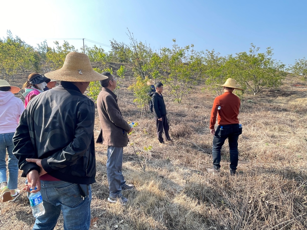 公司領(lǐng)導(dǎo)及各監(jiān)理部負(fù)責(zé)人對(duì)大石莊林地進(jìn)行勘察調(diào)研