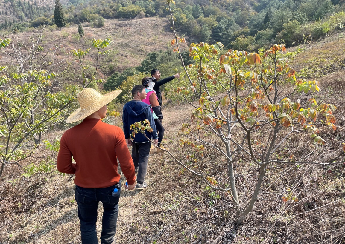 公司領(lǐng)導(dǎo)及各監(jiān)理部負(fù)責(zé)人對(duì)大石莊林地進(jìn)行勘察調(diào)研