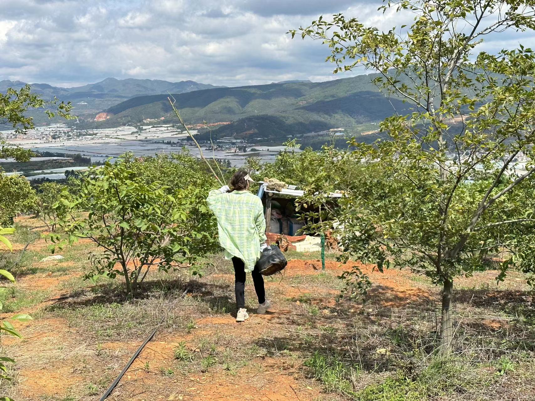 心植希望 播種綠色 ——盛翔監(jiān)理開展戶外活動(dòng)暨慶祝建黨102周年