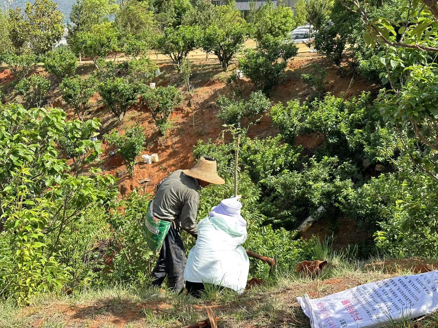 心植希望 播種綠色 ——盛翔監(jiān)理開展戶外活動(dòng)暨慶祝建黨102周年