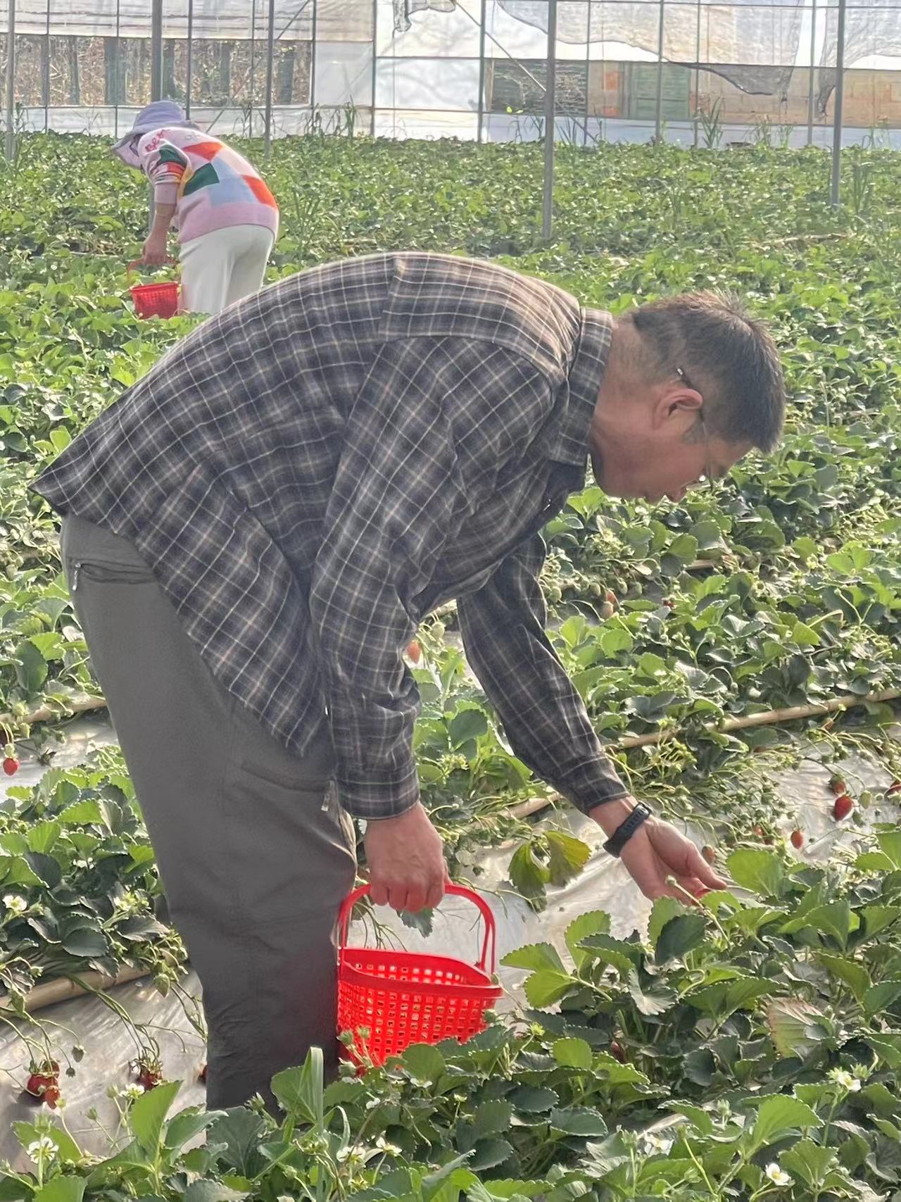 采擷春去 向“莓”好出發(fā) ——慶?！叭恕眹?guó)際勞動(dòng)?jì)D女節(jié)暨主題黨日活動(dòng)