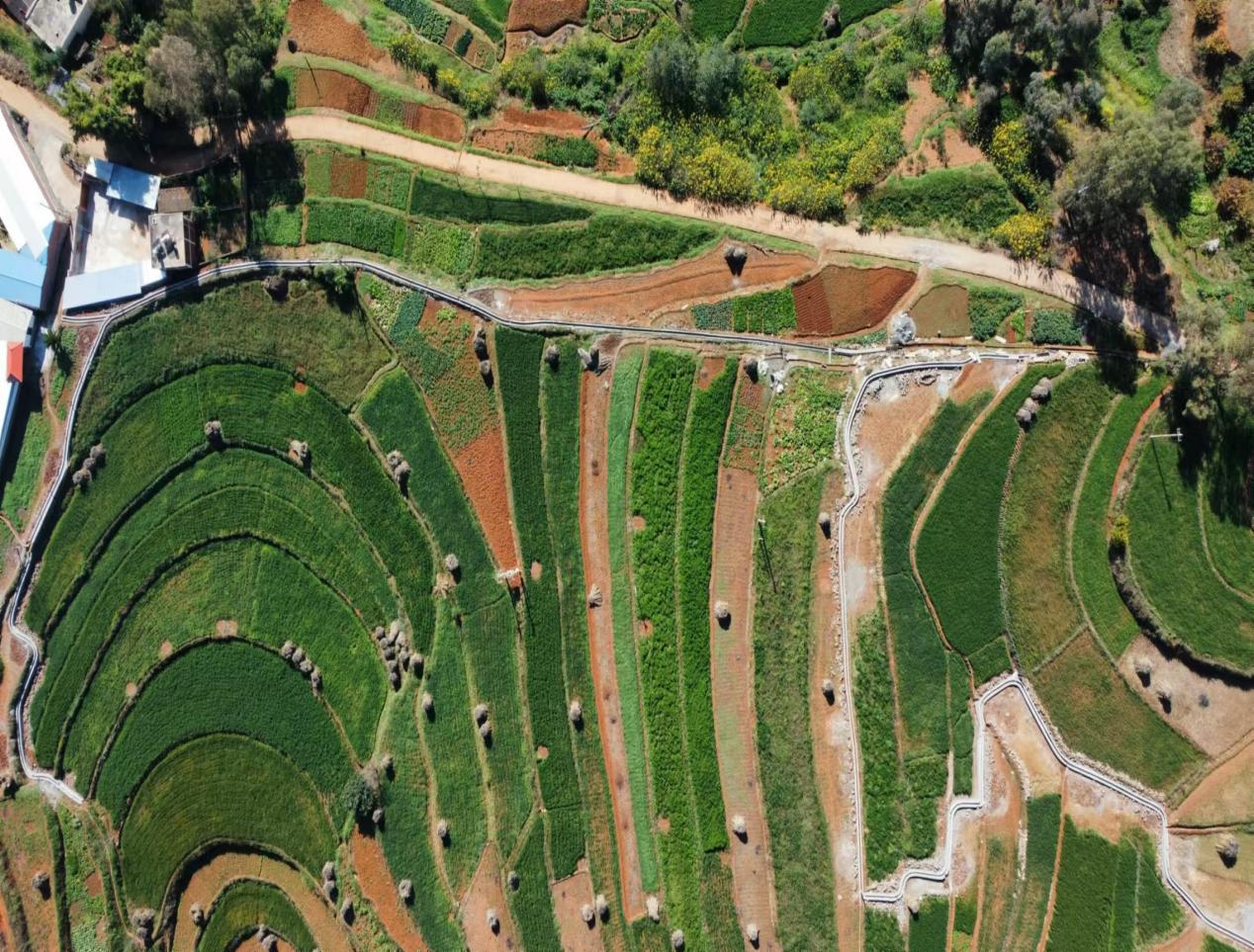 2024年度東川區(qū)高標(biāo)準(zhǔn)農(nóng)田改造提升建設(shè)項目