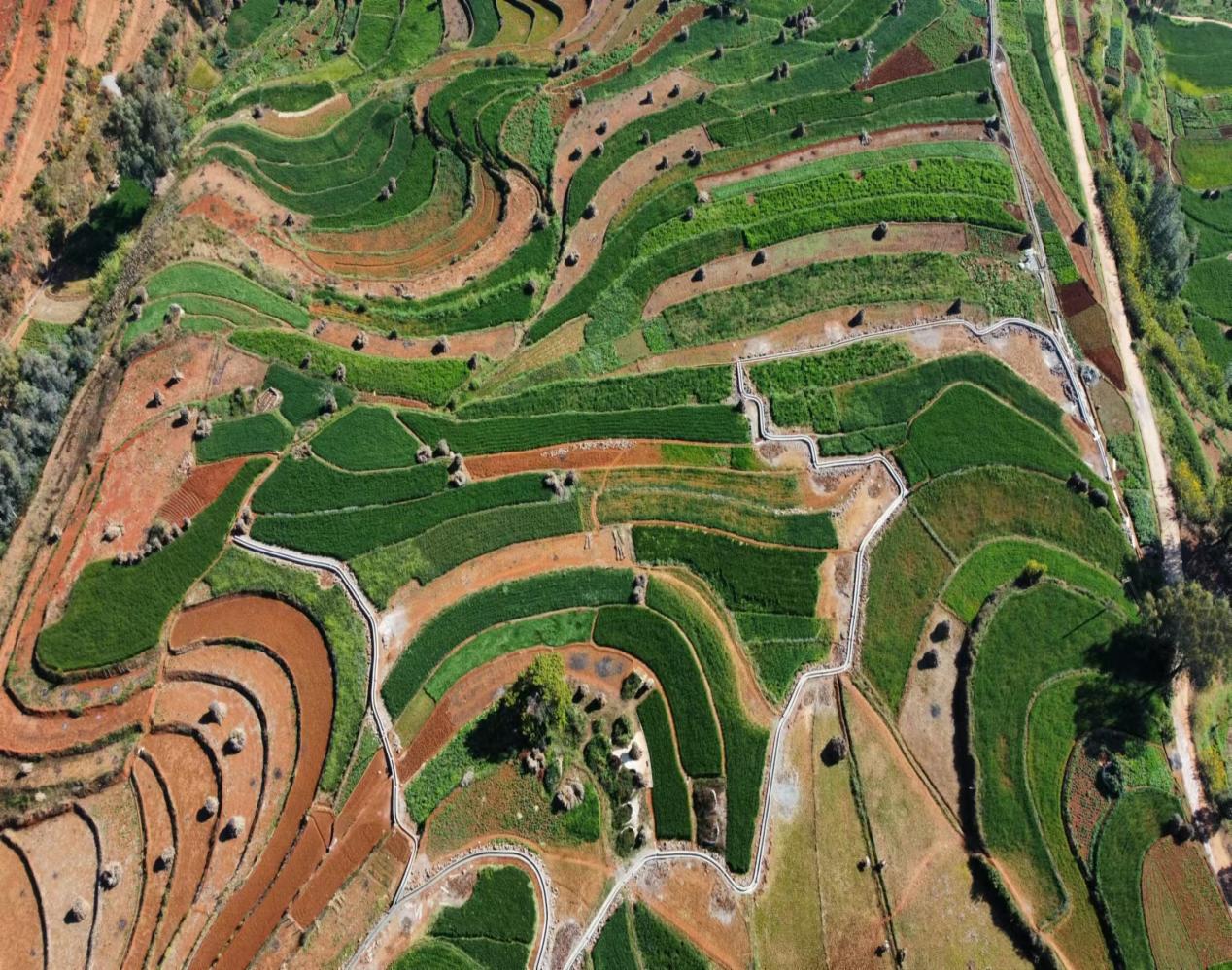 2024年度東川區(qū)高標(biāo)準(zhǔn)農(nóng)田改造提升建設(shè)項目